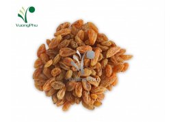Nho Vàng Sấy Khô